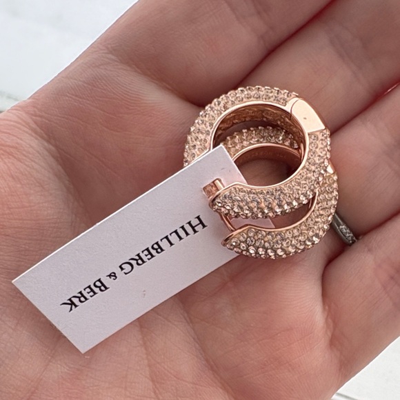Hillberg & Berk Rose Gold Earrings (sold ppu) - Picture 7 of 7